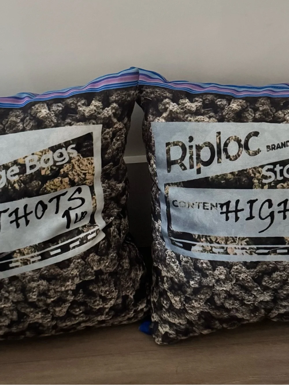 Set of 2 decorative pillows. Fun decor for any room